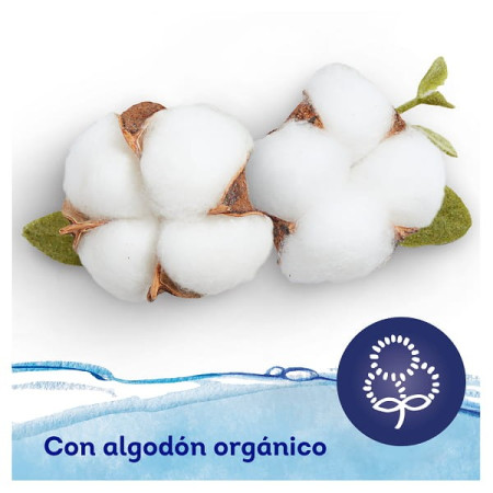 Toallitas Dodot Aqua Pure【 OFERTA 】Paquetes de 864 Uds.