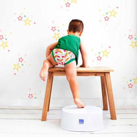 Pañal de Aprendizaje 18-24 Meses "Palacio de Pegasus".  Bambino Mio