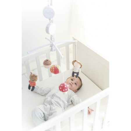 Carrusel Musical Forest. Olmitos