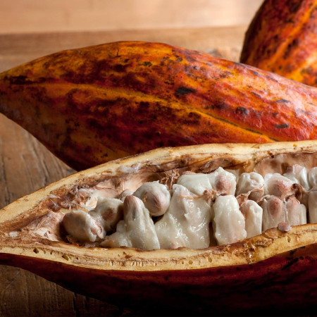 Skin Food Body Butter nutrición corporal intensiva 150ml. Weleda