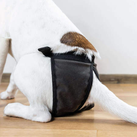 Braguitas adaptables