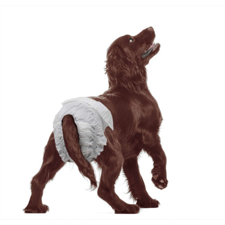 Pañales Doggy Slips. Talla XS, Peso: 1,8 – 3,6 kg. 20 Uds