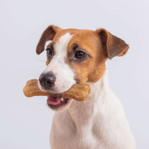 Hueso prensado 22 cm