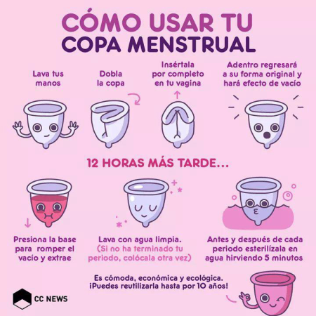 Copa menstrual - Organii