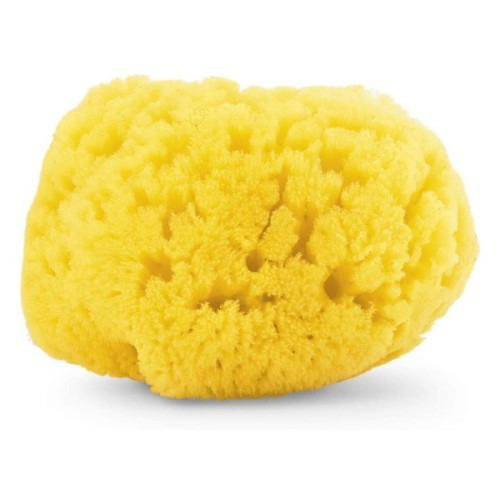 Esponja de baño marina. Chicco