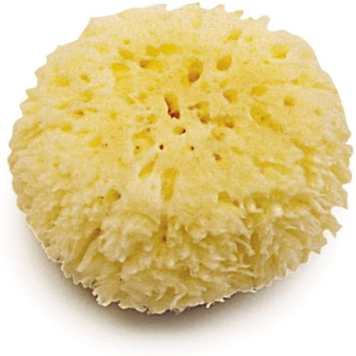 Esponja natural bebe Olmitos
