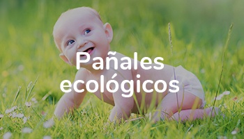 Pa&ntilde;ales Ecol&oacute;gicos